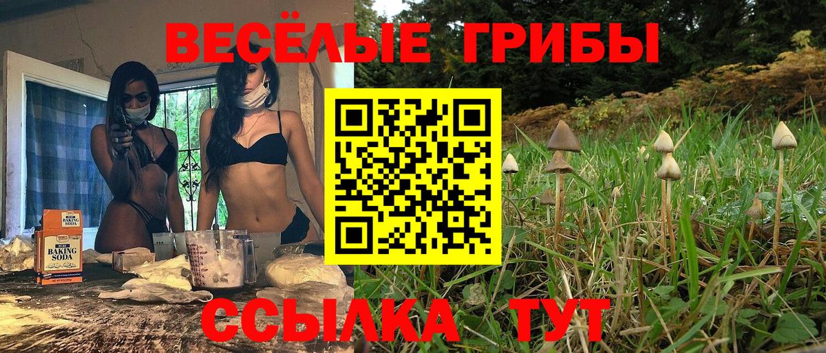 Псилоцибиновые грибы MAGIC MUSHROOMS Новозыбков